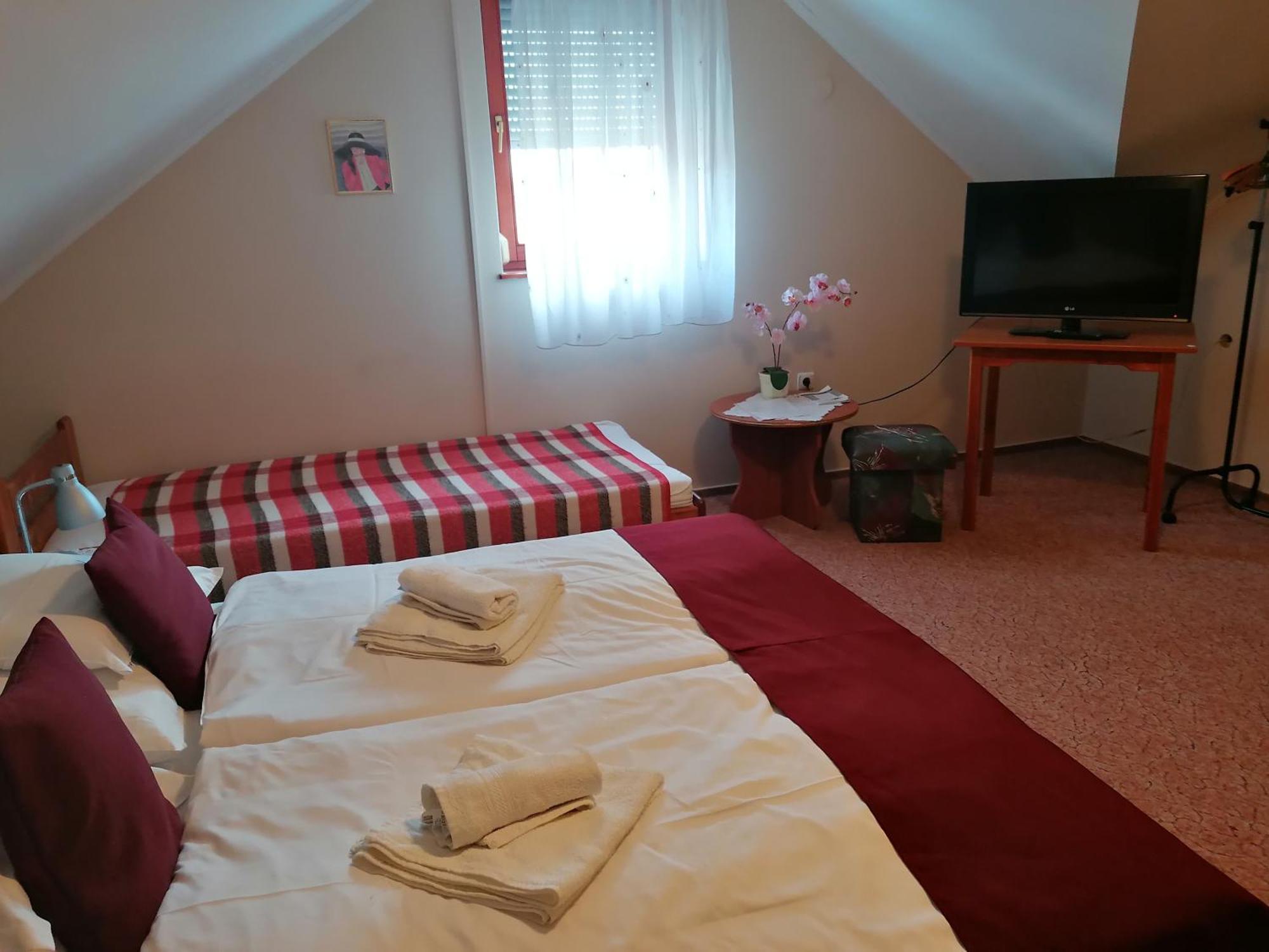 Iglodi Panzio Hotell Kunszentmárton Eksteriør bilde